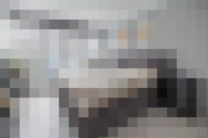 Het Haagse Hofje 14 Amersfoort thumbnail 20