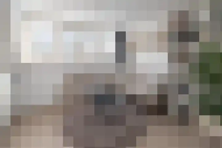 Het Haagse Hofje 14 Amersfoort thumbnail 33
