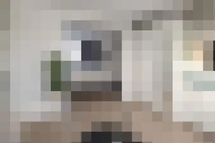 Het Haagse Hofje 14 Amersfoort thumbnail 34