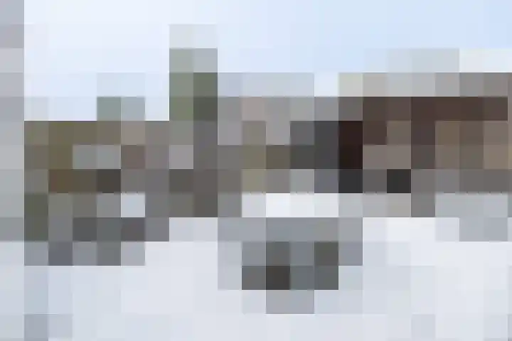 Het Haagse Hofje 14 Amersfoort thumbnail 38