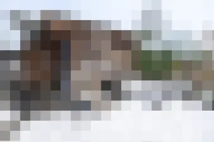 Het Haagse Hofje 14 Amersfoort thumbnail 39