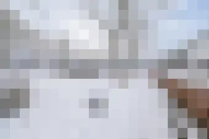 Het Haagse Hofje 14 Amersfoort thumbnail 4