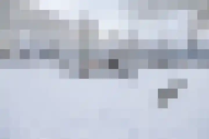 Het Haagse Hofje 14 Amersfoort thumbnail 44