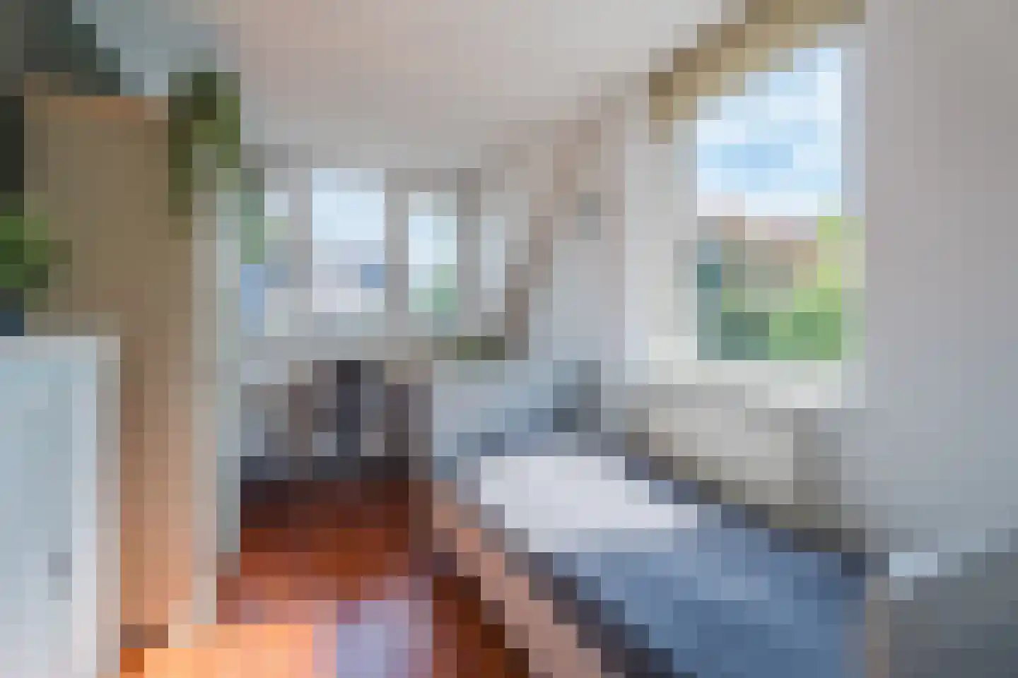 Het Haam 15 Malden thumbnail 22