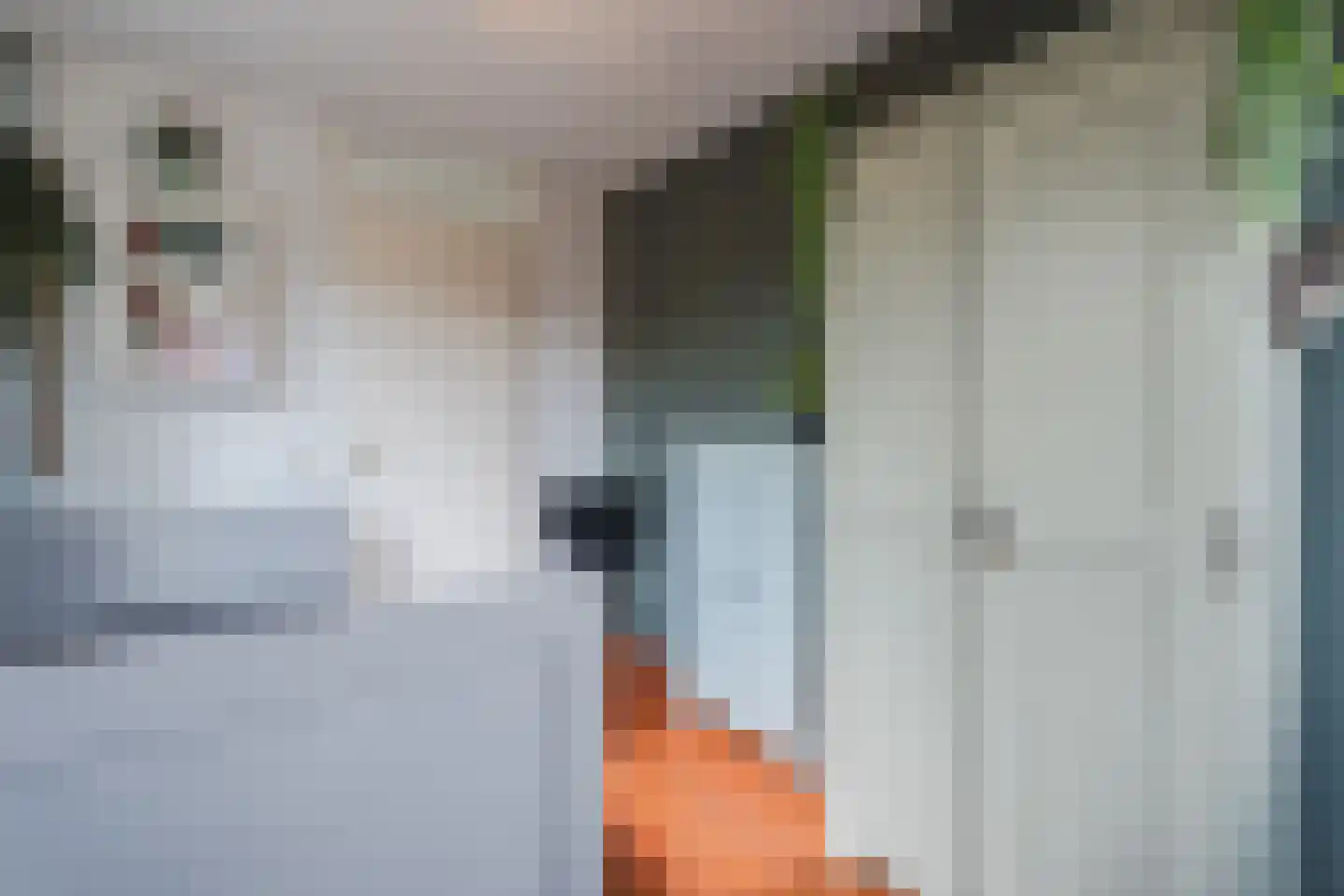 Het Haam 15 Malden thumbnail 23