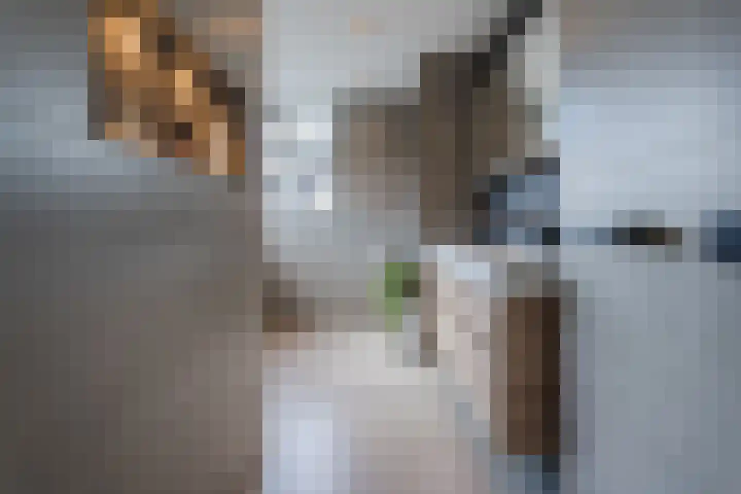 Het Haam 15 Malden thumbnail 26