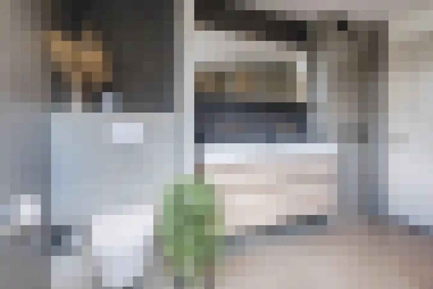 Het Haam 15 Malden thumbnail 29