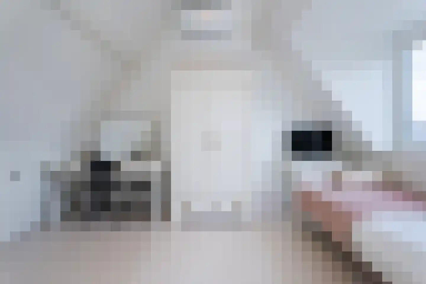 Het Haam 15 Malden thumbnail 32