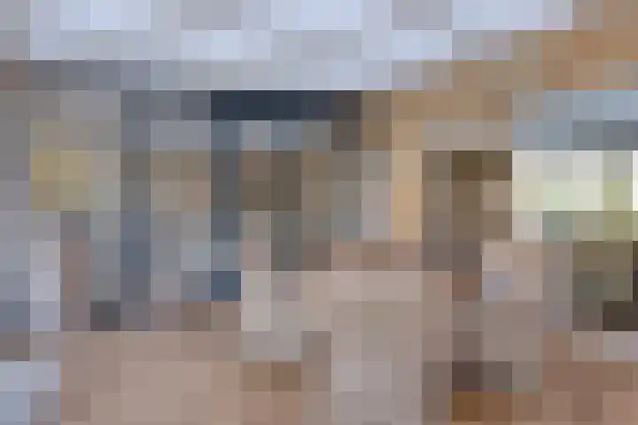 Het Haf 11 Amersfoort thumbnail 12
