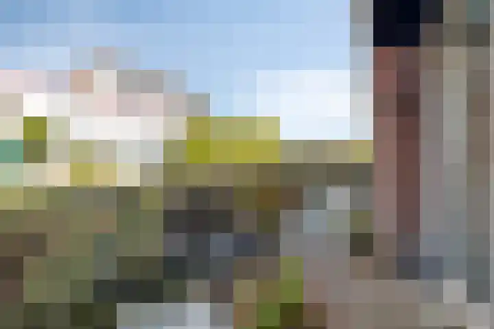 Het Haf 11 Amersfoort thumbnail 14