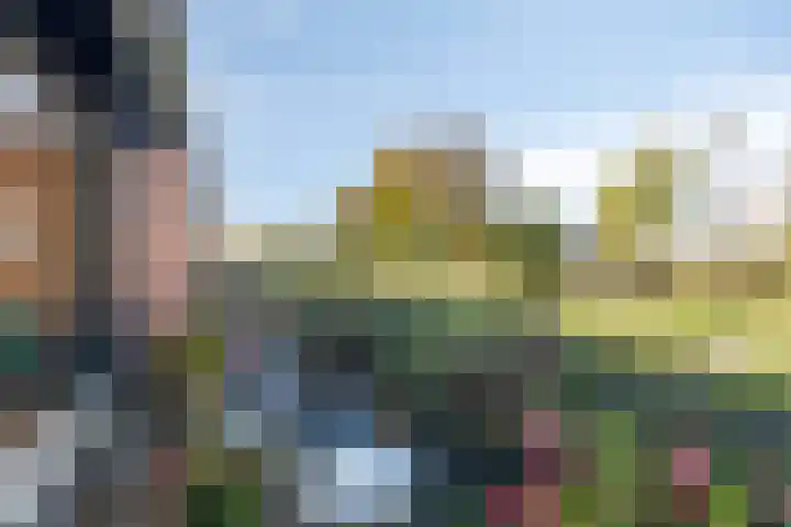 Het Haf 11 Amersfoort thumbnail 16
