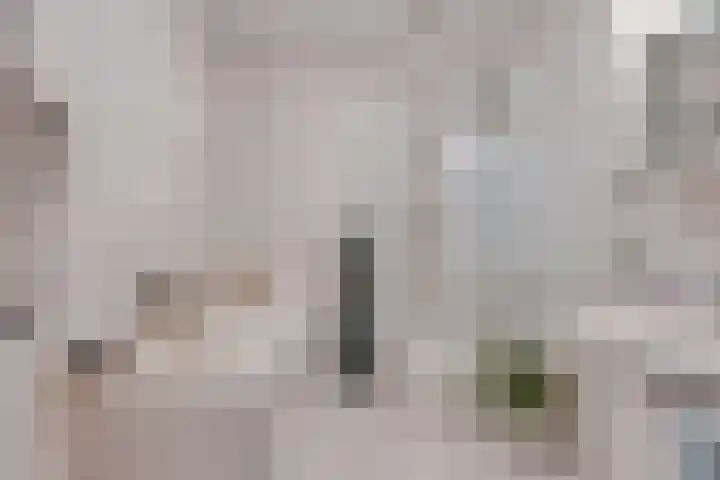 Het Haf 11 Amersfoort thumbnail 21
