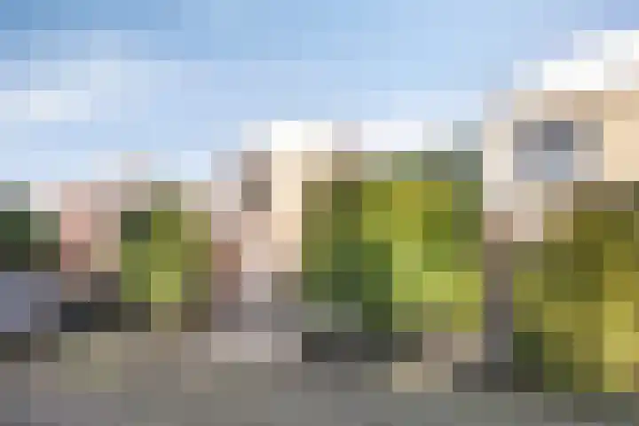 Het Haf 11 Amersfoort thumbnail 32