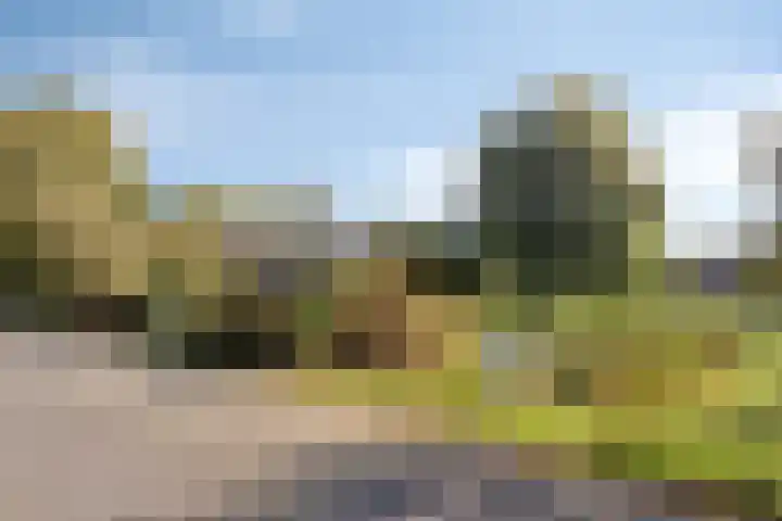 Het Haf 11 Amersfoort thumbnail 37