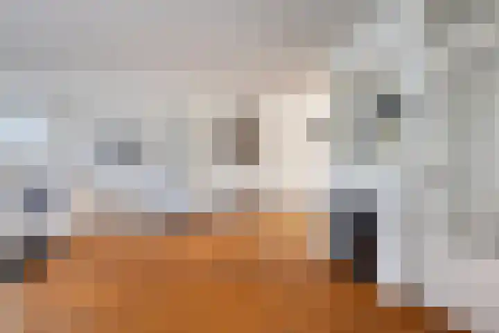 Het Haf 11 Amersfoort thumbnail 5