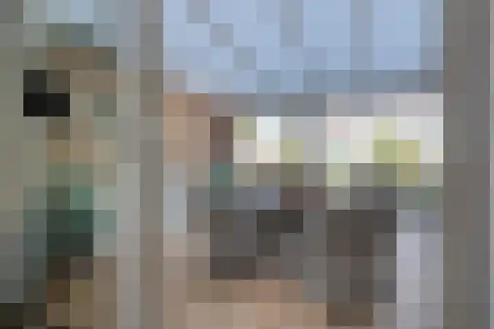 Het Haf 11 Amersfoort thumbnail 8