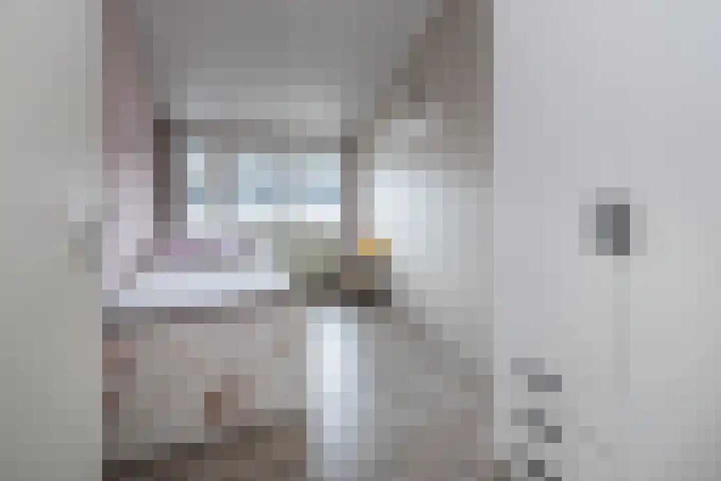 Het Hallehuis 11 Amersfoort thumbnail 24