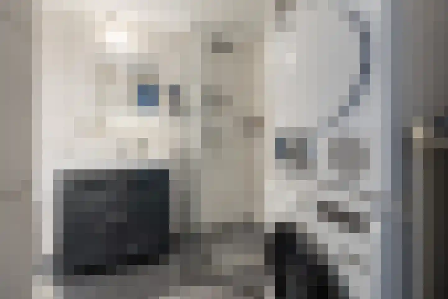 Het Hallehuis 11 Amersfoort thumbnail 30