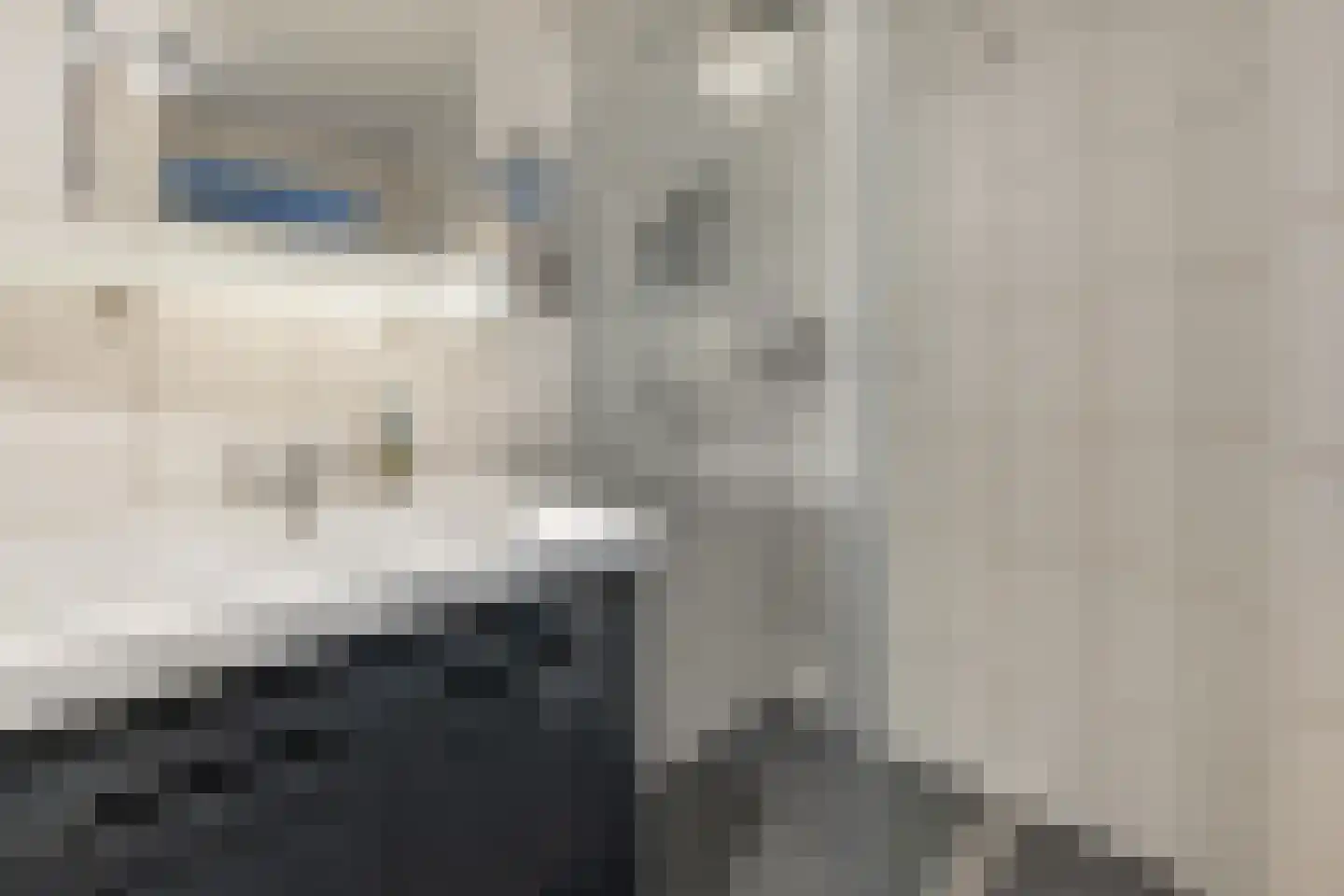 Het Hallehuis 11 Amersfoort thumbnail 32