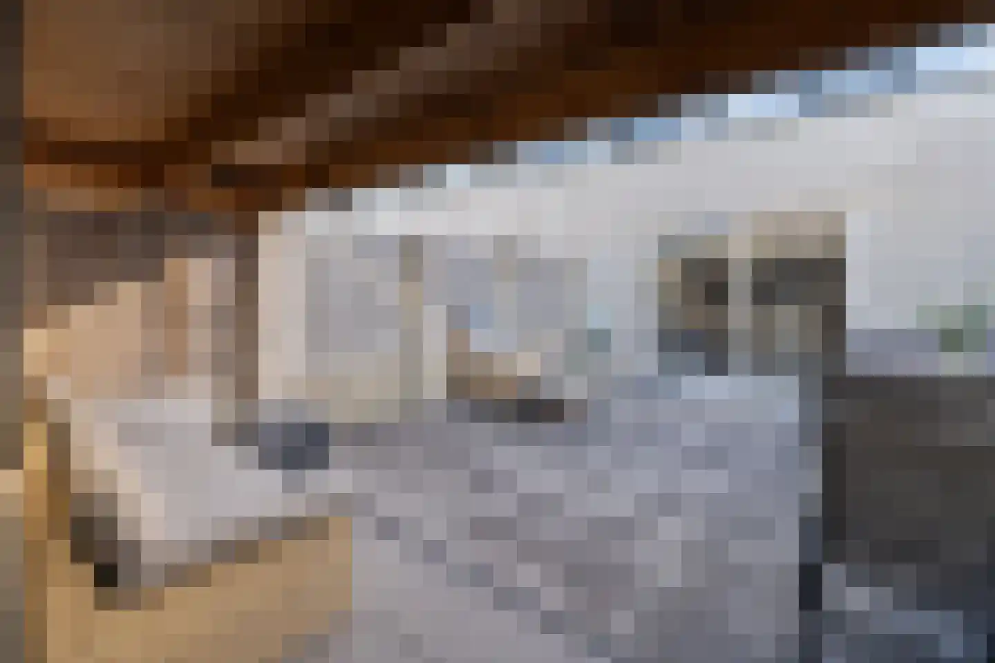 Het Hallehuis 11 Amersfoort thumbnail 42