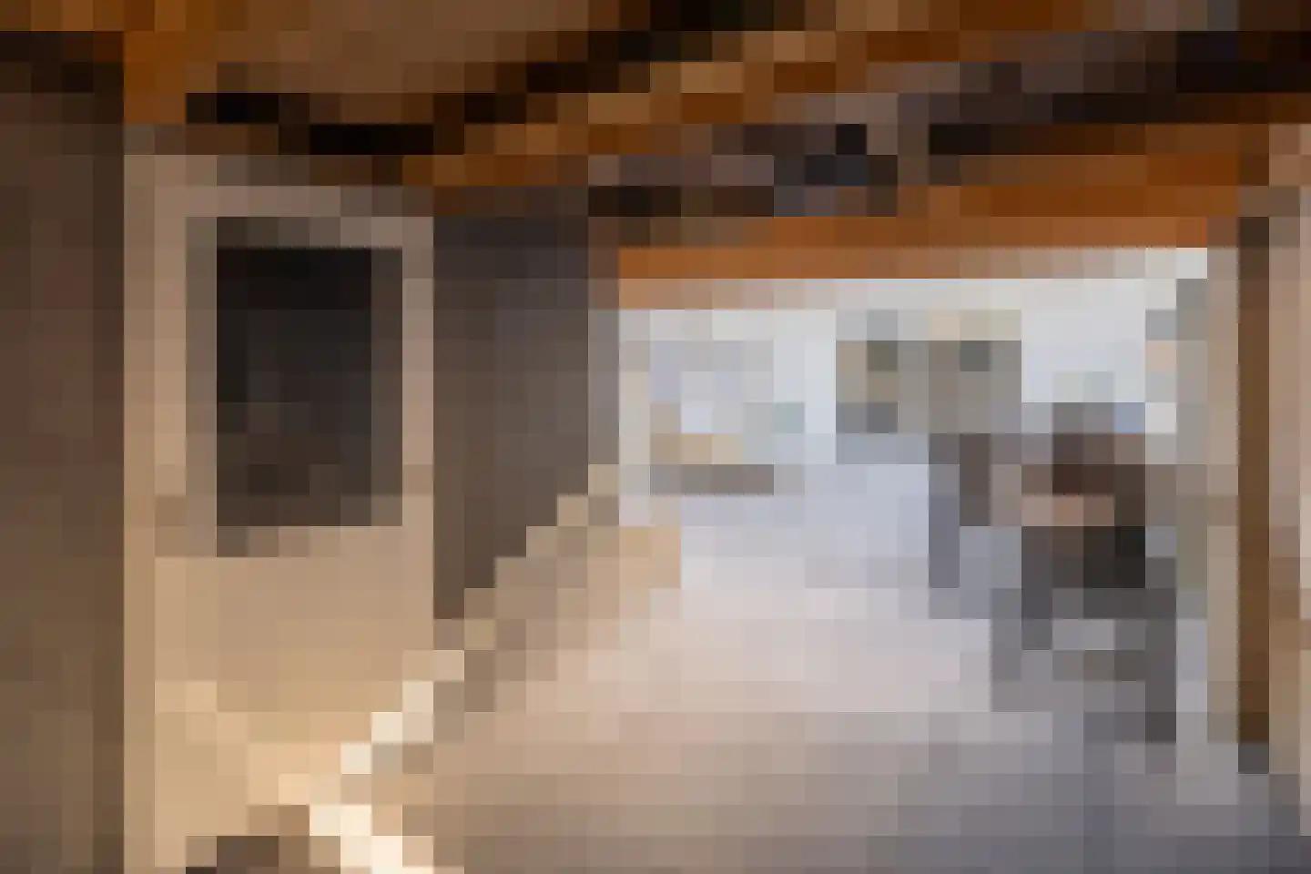 Het Hallehuis 11 Amersfoort thumbnail 43