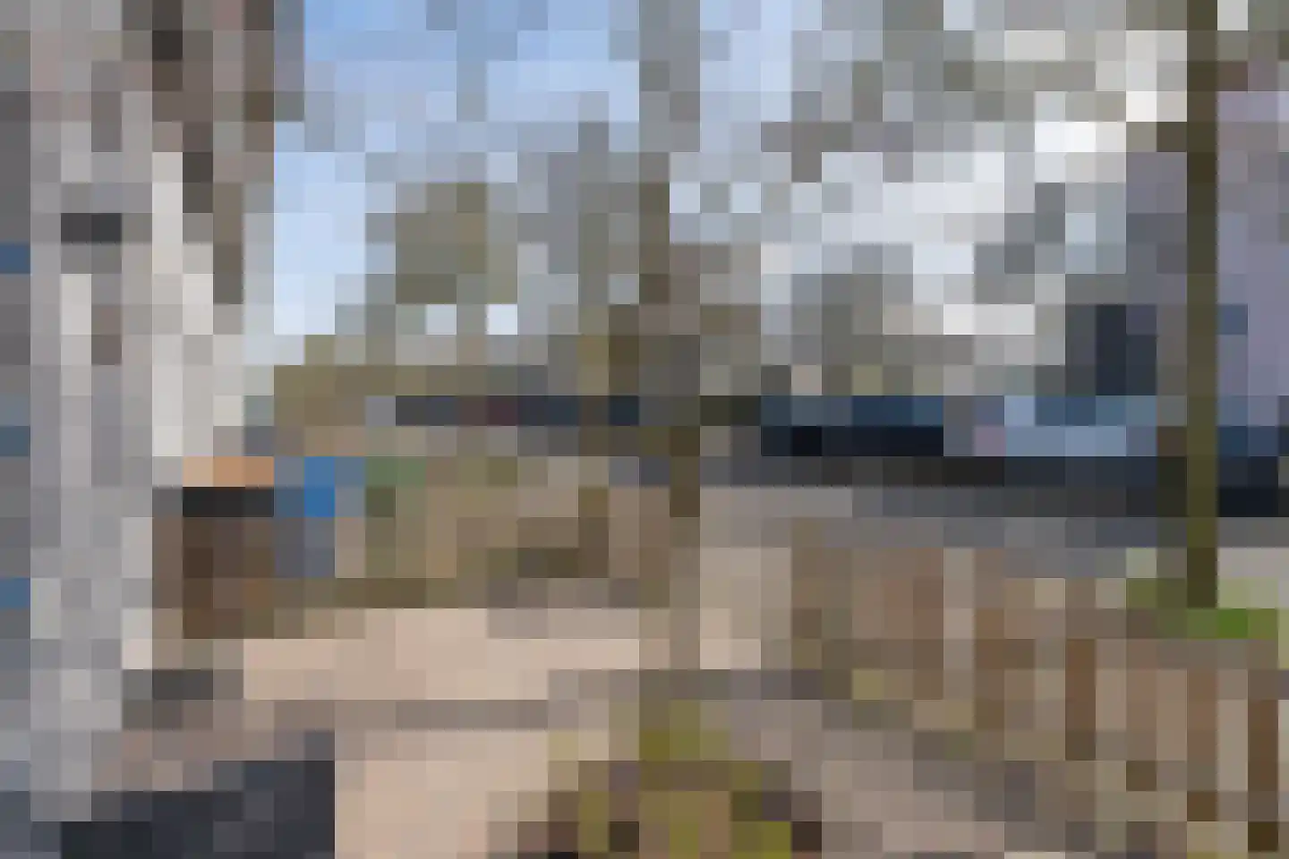 Het Hallehuis 11 Amersfoort thumbnail 47