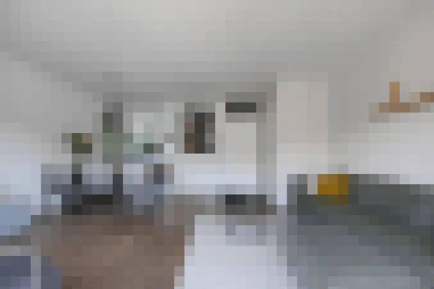 Het Hallehuis 19 Amersfoort thumbnail 11