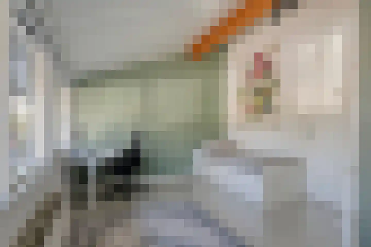 Het Hallehuis 19 Amersfoort thumbnail 20