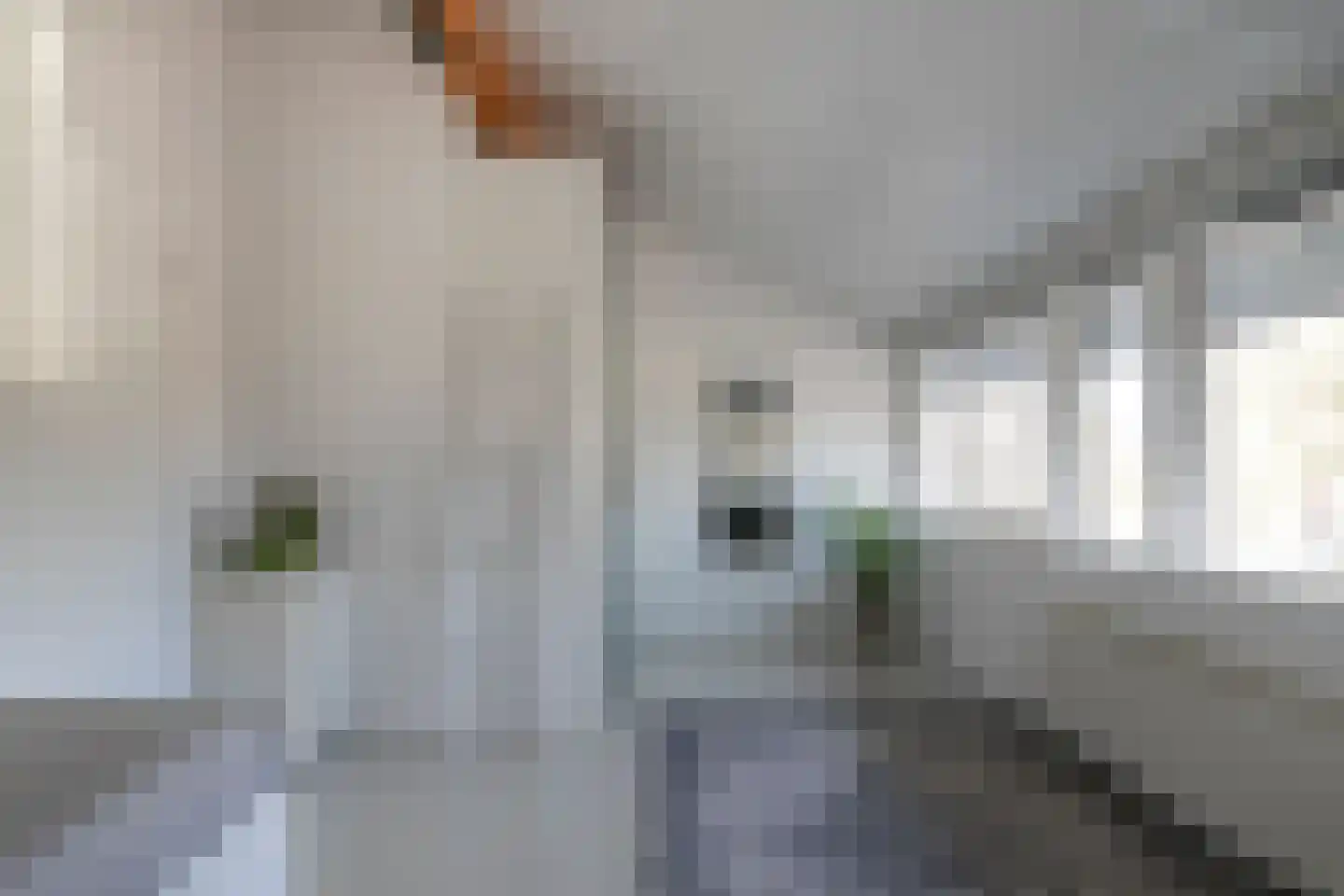 Het Hallehuis 19 Amersfoort thumbnail 21