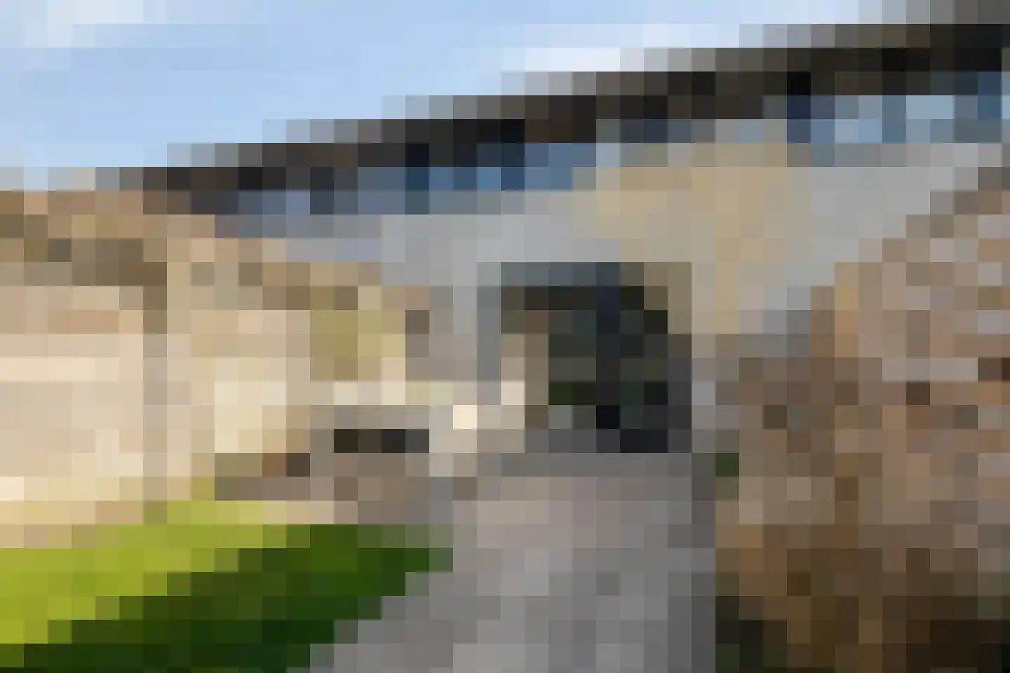 Het Hallehuis 19 Amersfoort thumbnail 27
