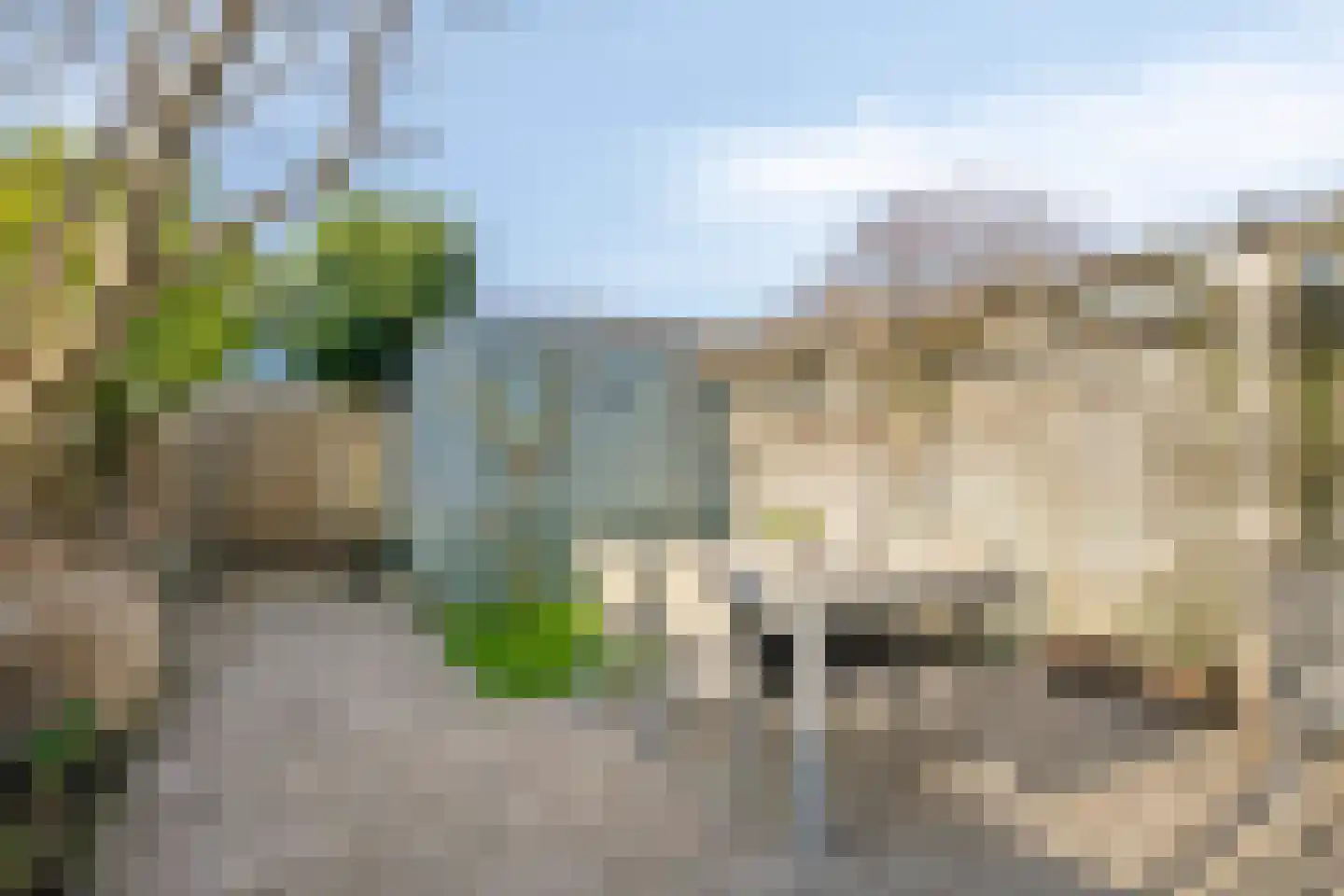 Het Hallehuis 19 Amersfoort thumbnail 28