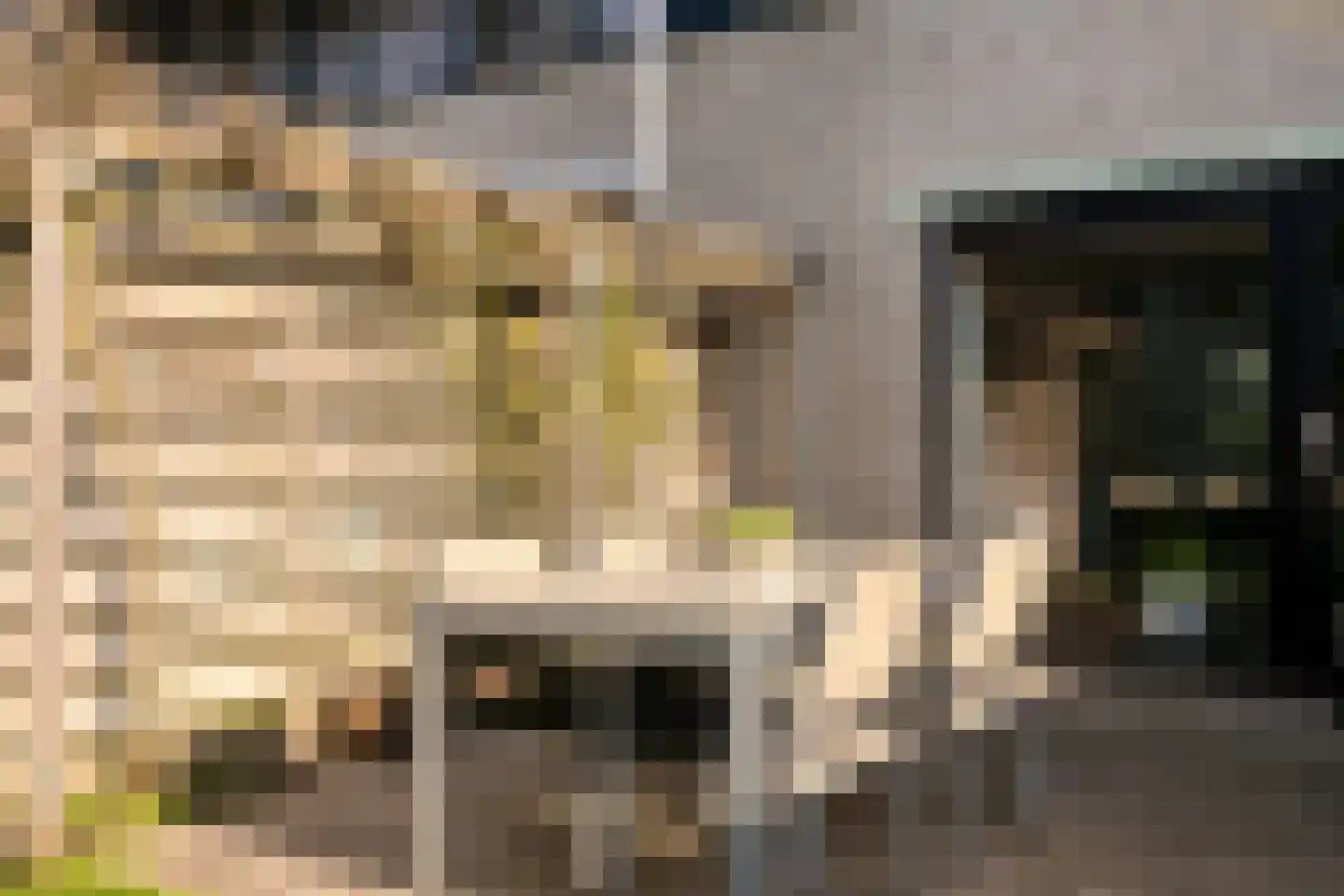 Het Hallehuis 19 Amersfoort thumbnail 29