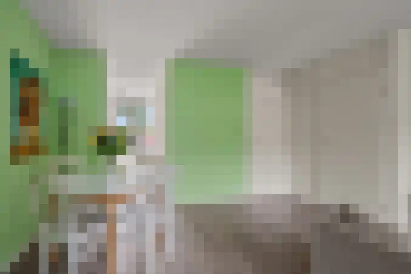Het Hallehuis 39 Amersfoort thumbnail 11