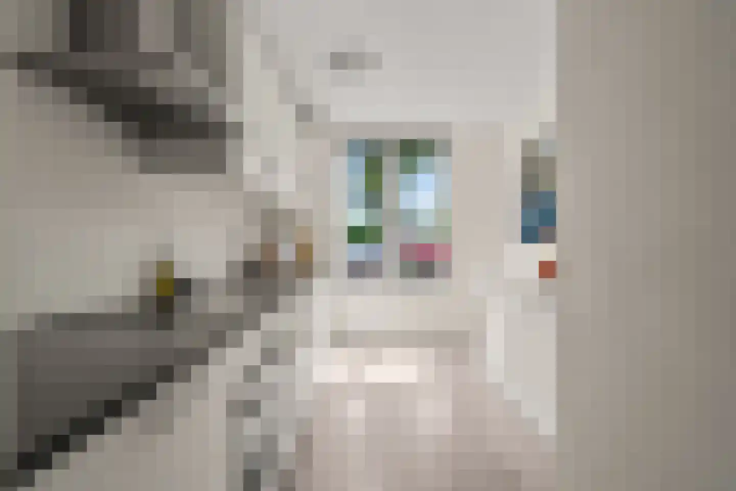 Het Hallehuis 39 Amersfoort thumbnail 12