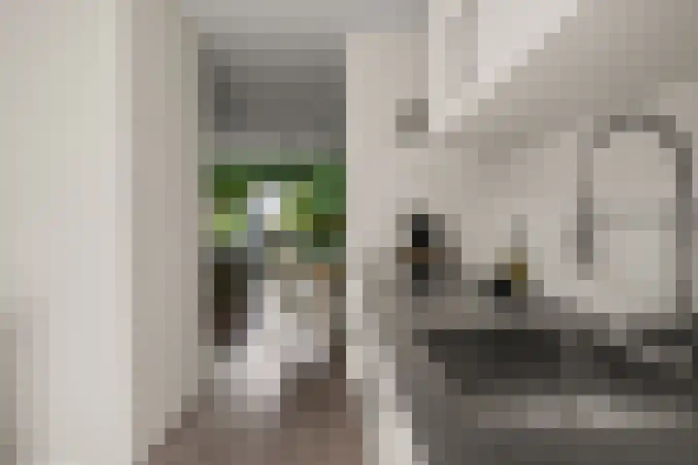 Het Hallehuis 39 Amersfoort thumbnail 17