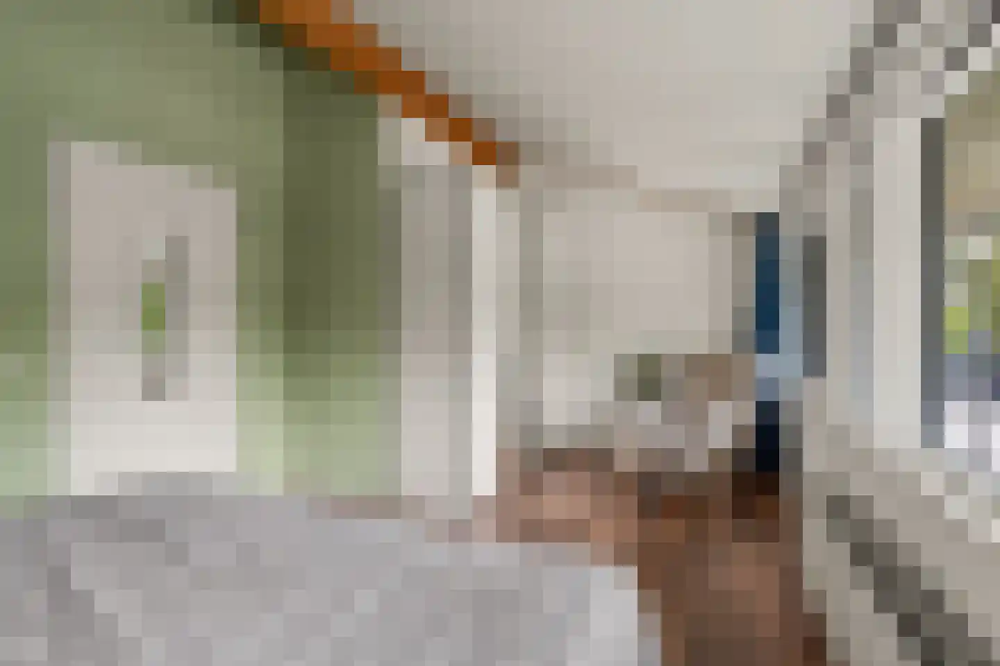 Het Hallehuis 39 Amersfoort thumbnail 24