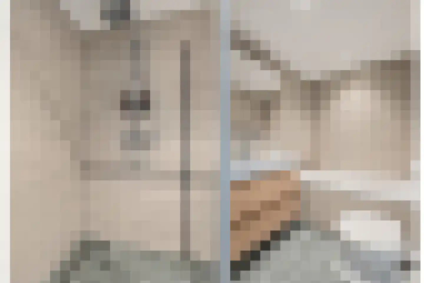 Het Hallehuis 39 Amersfoort thumbnail 27