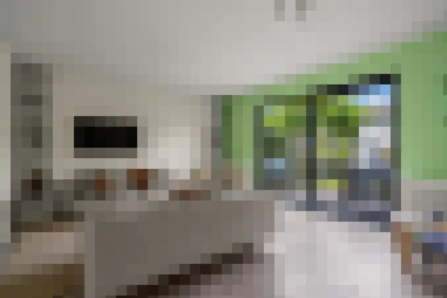 Het Hallehuis 39 Amersfoort thumbnail 5