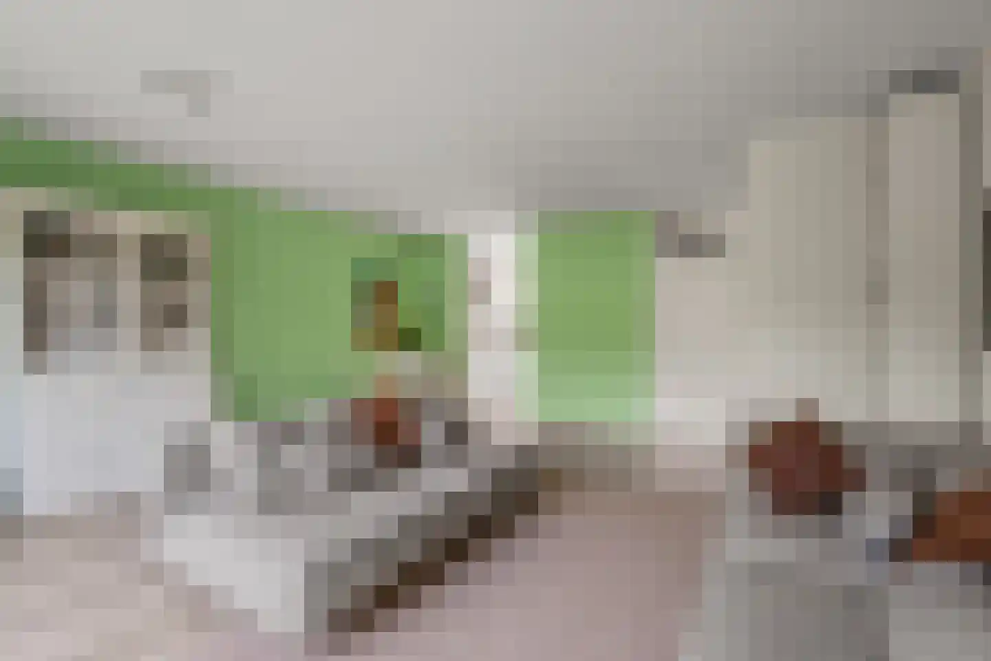 Het Hallehuis 39 Amersfoort thumbnail 9