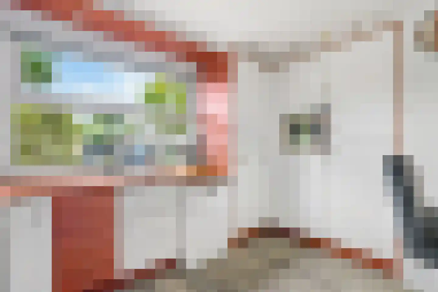 Het Hallehuis 79 Amersfoort thumbnail 19