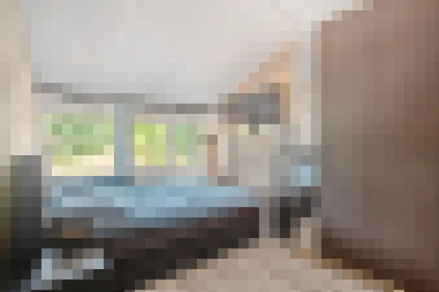 Het Hallehuis 79 Amersfoort thumbnail 28