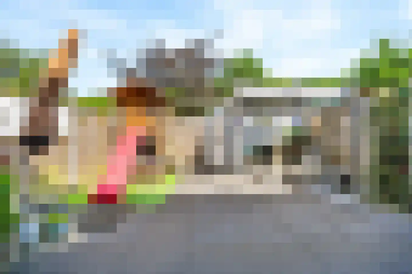 Het Hallehuis 79 Amersfoort thumbnail 37