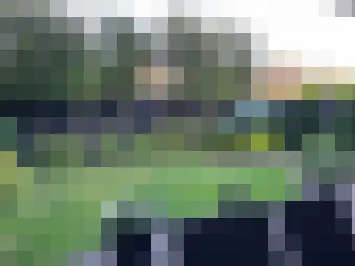 Het Halster 45 Malden thumbnail 19