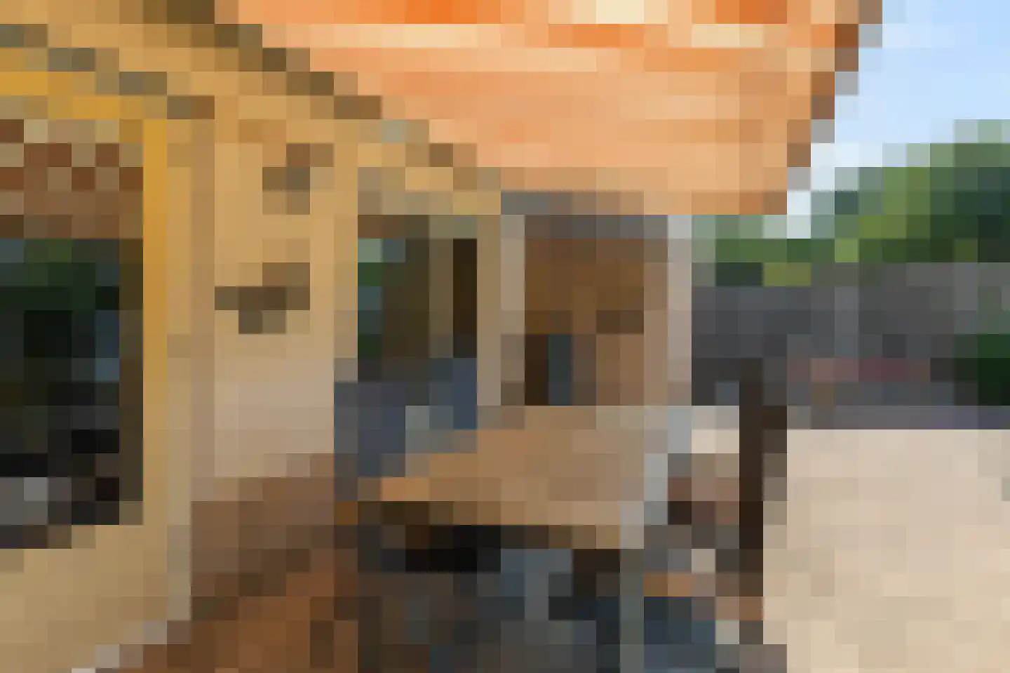 Het Halster 72 Malden thumbnail 34