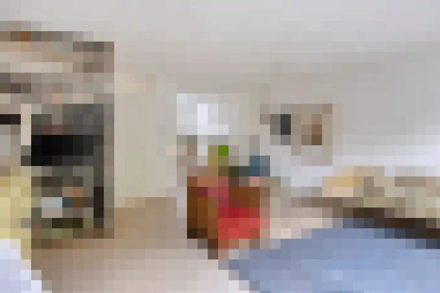 Het Halve Maantje 13 Amersfoort thumbnail 14