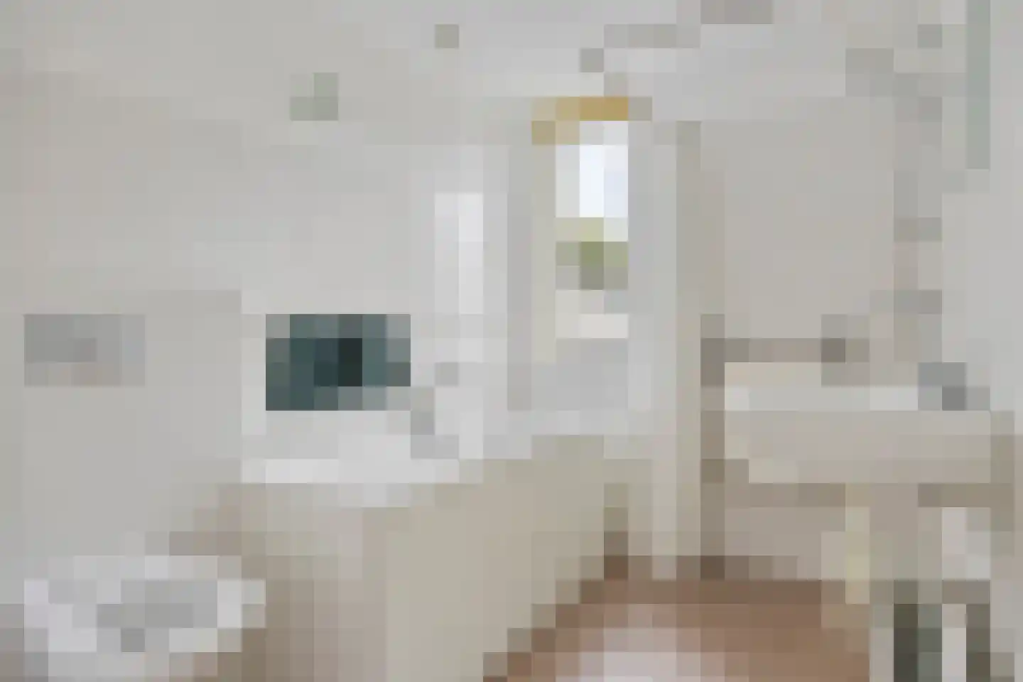 Het Halve Maantje 13 Amersfoort thumbnail 25