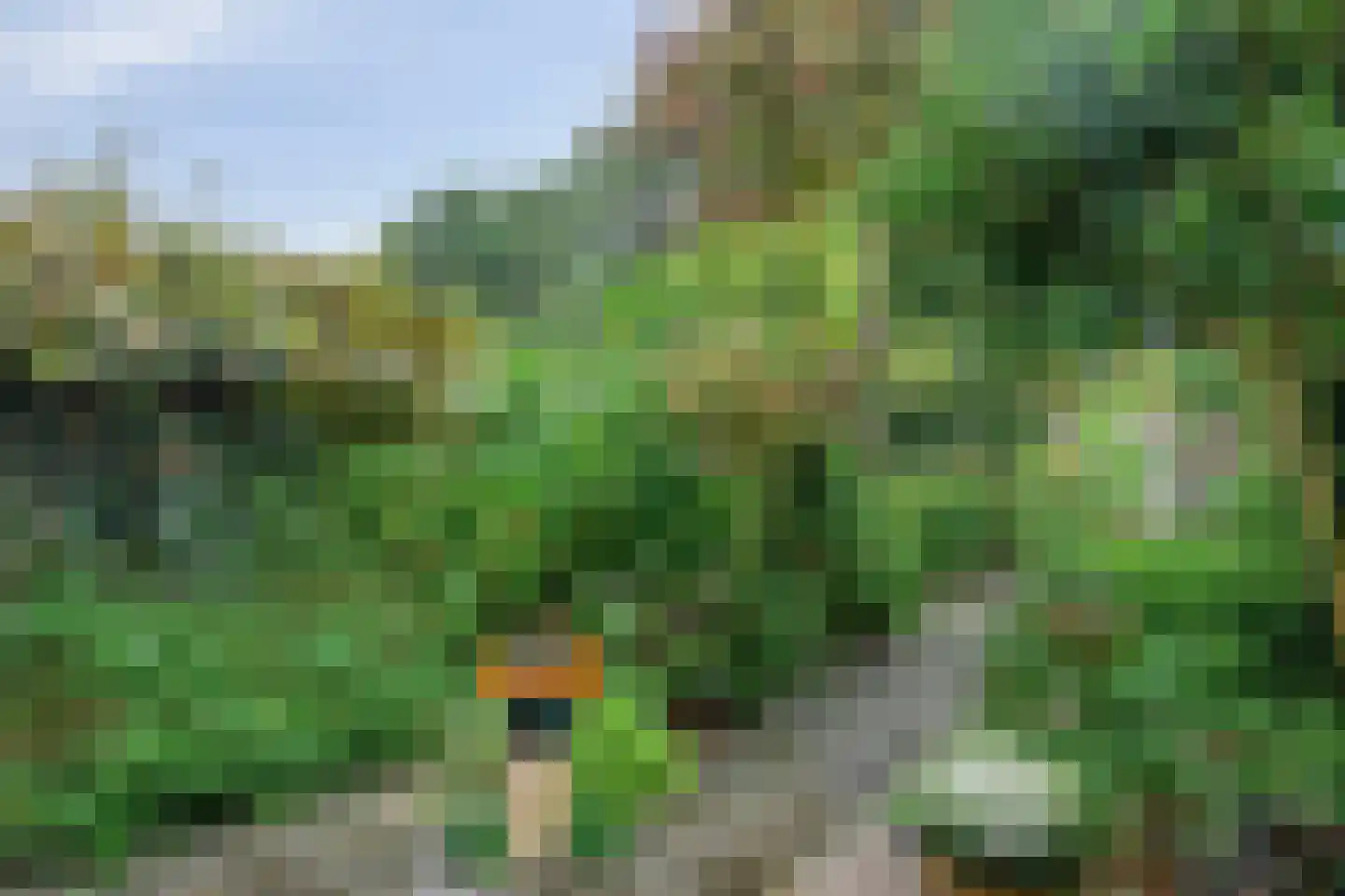 Het Halve Maantje 13 Amersfoort thumbnail 28