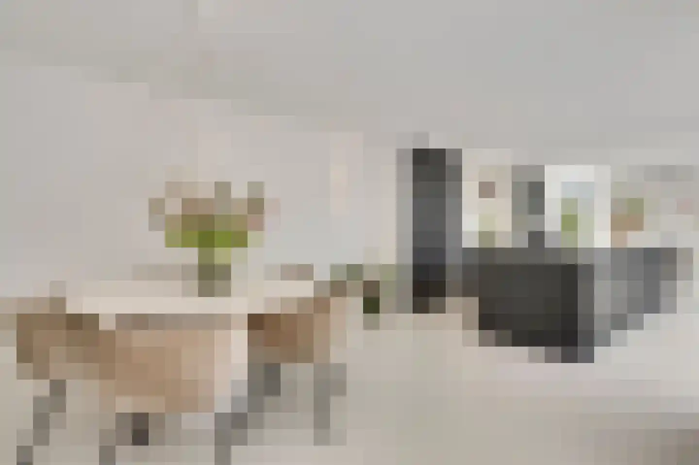 Het Ham 11 Roermond thumbnail 18
