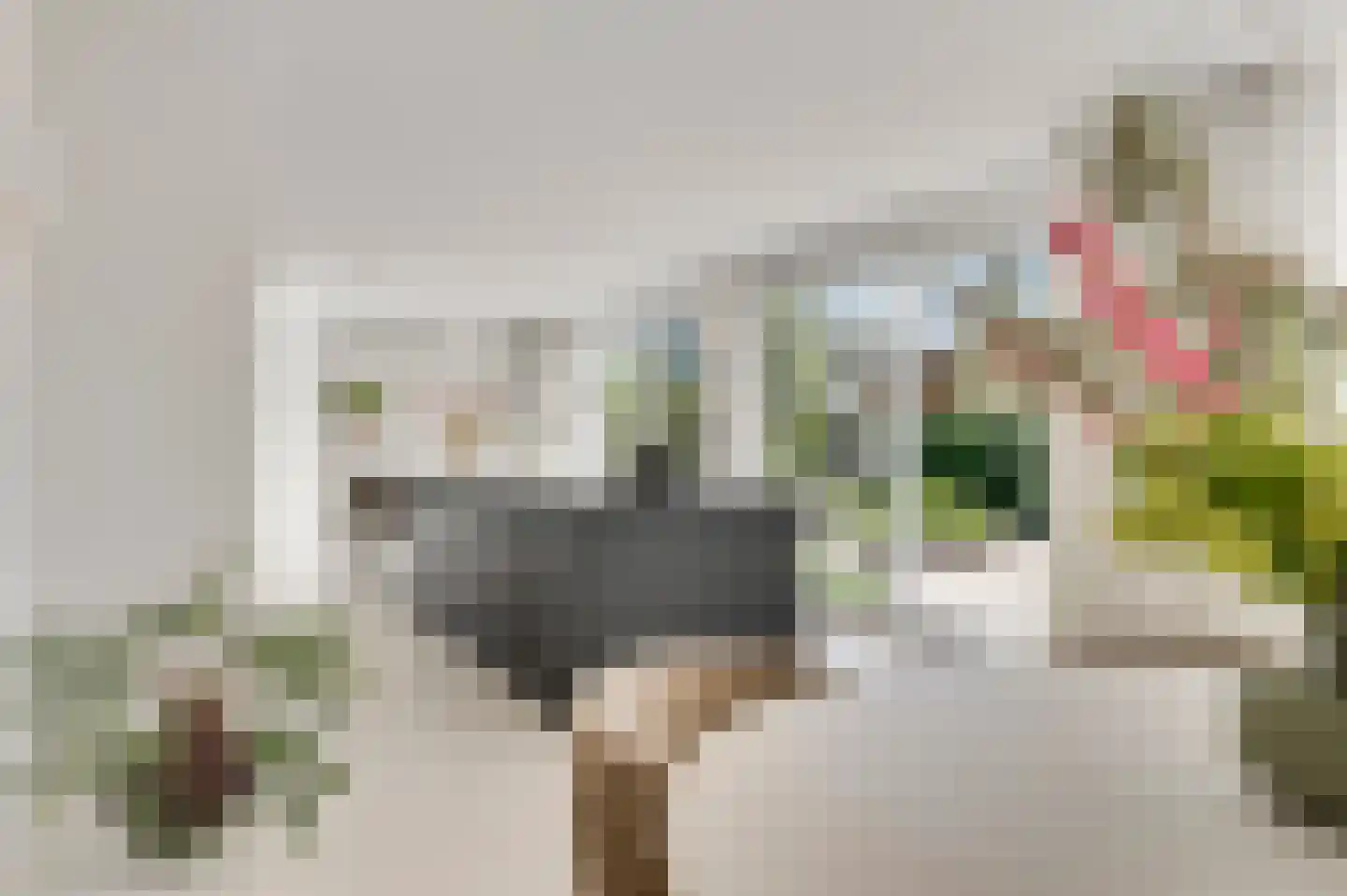 Het Ham 11 Roermond thumbnail 20