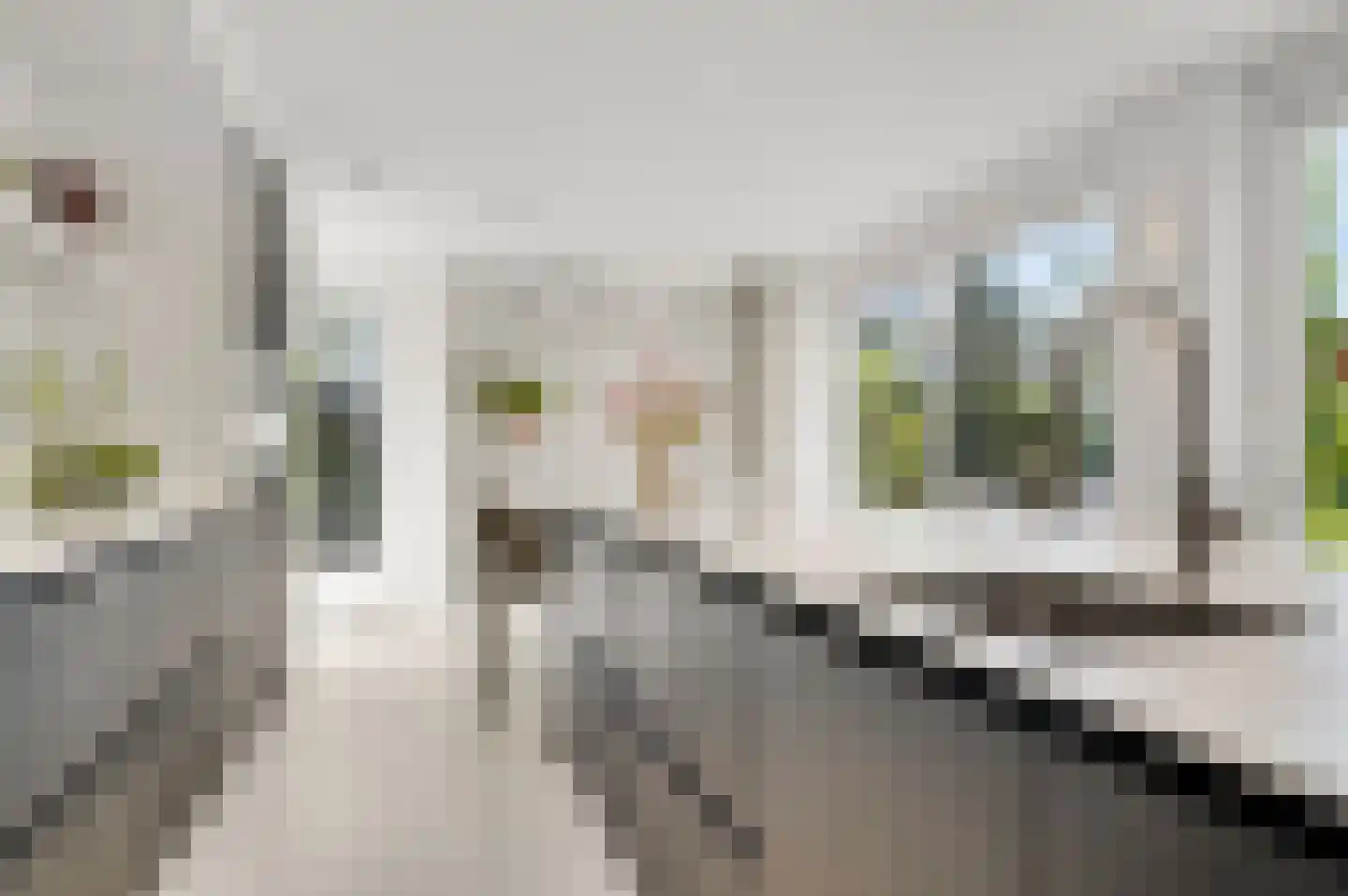 Het Ham 11 Roermond thumbnail 21